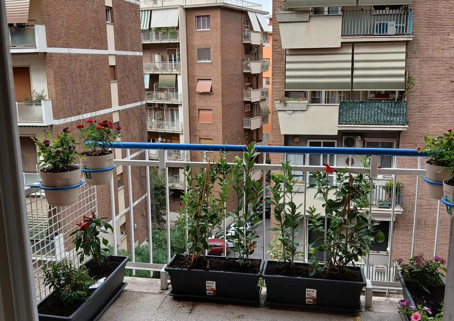 Grand Nomentana Roma Διαμέρισμα  Ρώμη